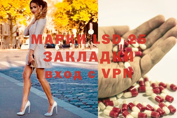 ГАЛЛЮЦИНОГЕННЫЕ ГРИБЫ Абдулино