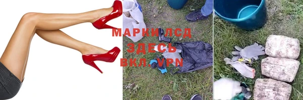 шишки Абаза