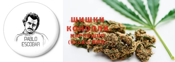 шишки Абаза