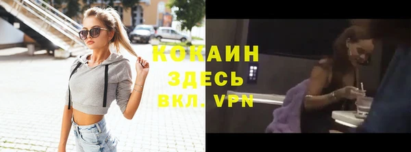 шишки Абаза