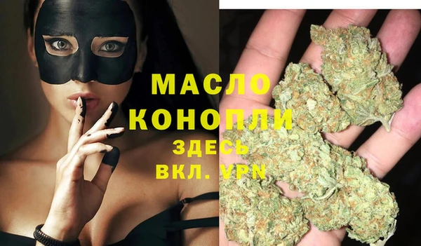 шишки Абаза