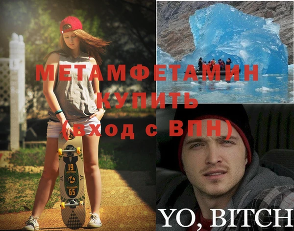 шишки Абаза