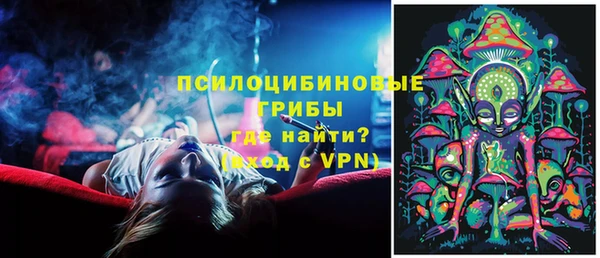 ГАЛЛЮЦИНОГЕННЫЕ ГРИБЫ Абдулино