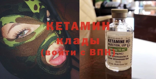 шишки Абаза