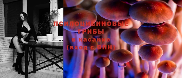 ГАЛЛЮЦИНОГЕННЫЕ ГРИБЫ Абдулино